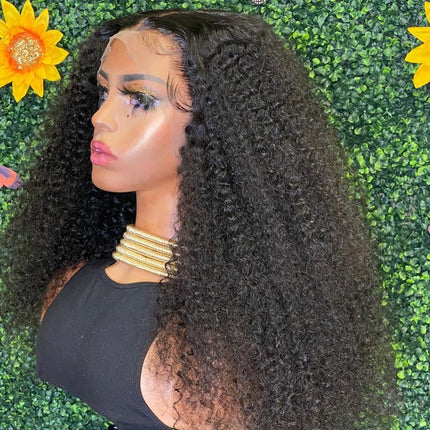 Super Thick & Soft Kinky Curly 13x4 Undetectable HD Lace Wig Natural Hairlne-Aaliweya