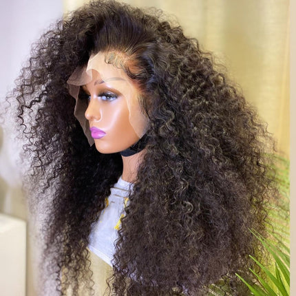 Super Thick & Soft Kinky Curly 13x4 Undetectable HD Lace Wig Natural Hairlne-Aaliweya