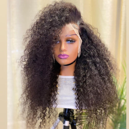 Super Thick & Soft Kinky Curly 13x4 Undetectable HD Lace Wig Natural Hairlne-Aaliweya